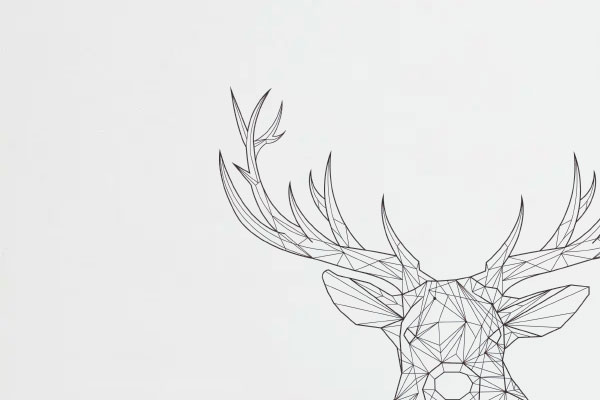 servicios diseño grafico