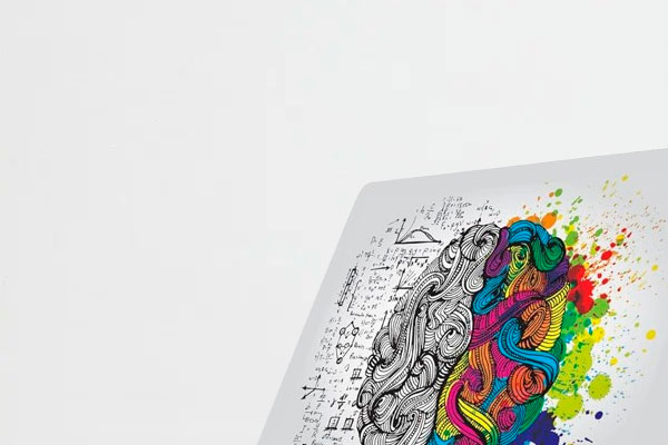 servicios paginas web